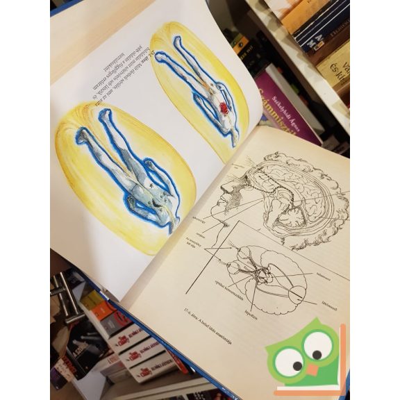 Barbara Ann Brennan: Gyógyító kezek