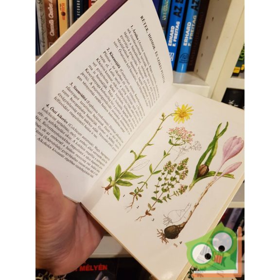 Isépy István: Gyógynövények (Búvár zsebkönyvek)