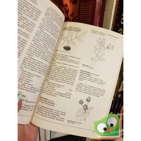 Varró Aladár Béla: Gyógynövények gyógyhatásai