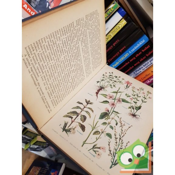 Varró Aladár Béla: Gyógynövények gyógyhatásai