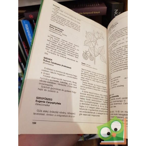 Varró Aladár Béla: Gyógynövények mint háziszerek (Nagyon ritka)