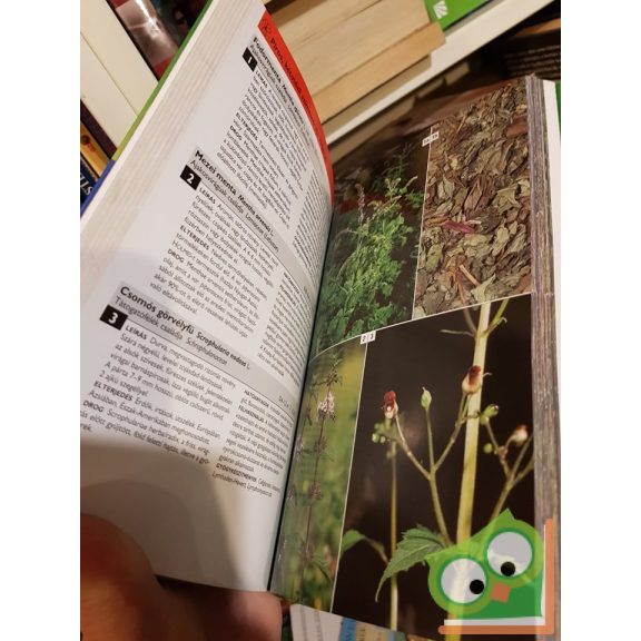 Ingrid Schönfelder, Peter Schönfelder: Gyógynövényhatározó (nagyon ritka)