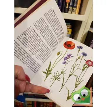 Hunyadi Károly: Gyomnövények (Búvár zsebkönyvek)