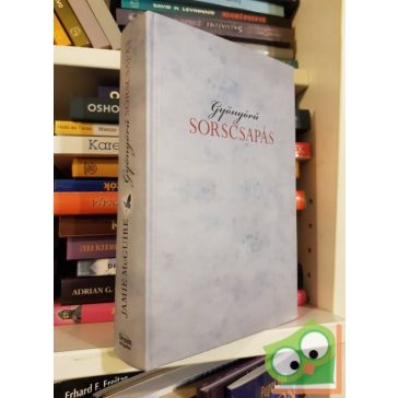   Jamie McGuire: Gyönyörű sorscsapás (Gyönyörű sorscsapás 1.)