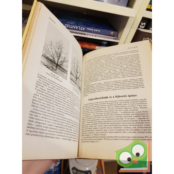 Tomcsányi Pál: Gyümölcsfajtáink - gyakorlati pomológia