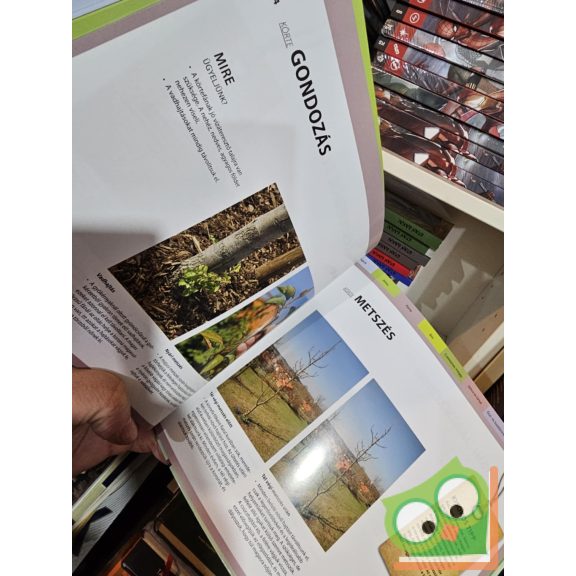 Peter Himmelhuber: Gyümölcsfák metszése (Mindentudó - 99 lényegre törő válasz)