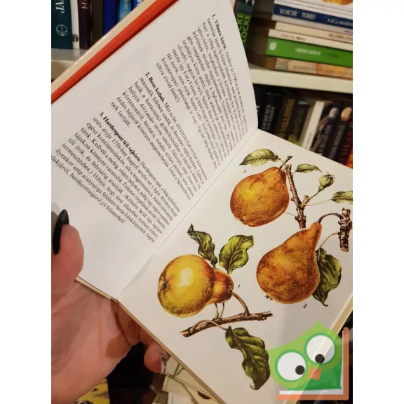 Kádas Lajos: Gyümölcsök (Búvár zsebkönyvek)