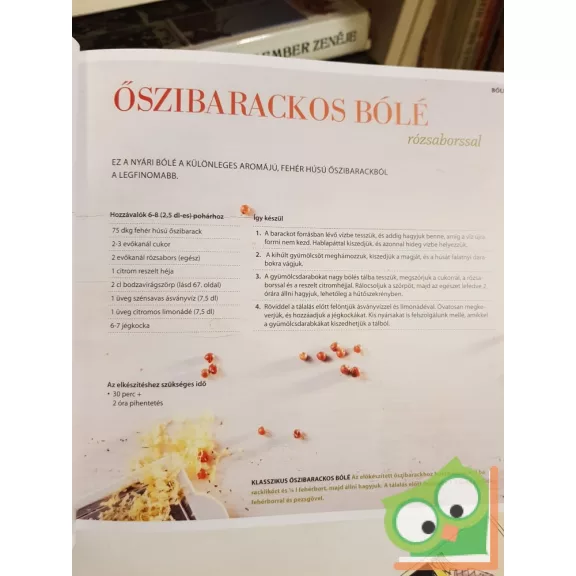 Regine Stroner: Gyümölcsös italok