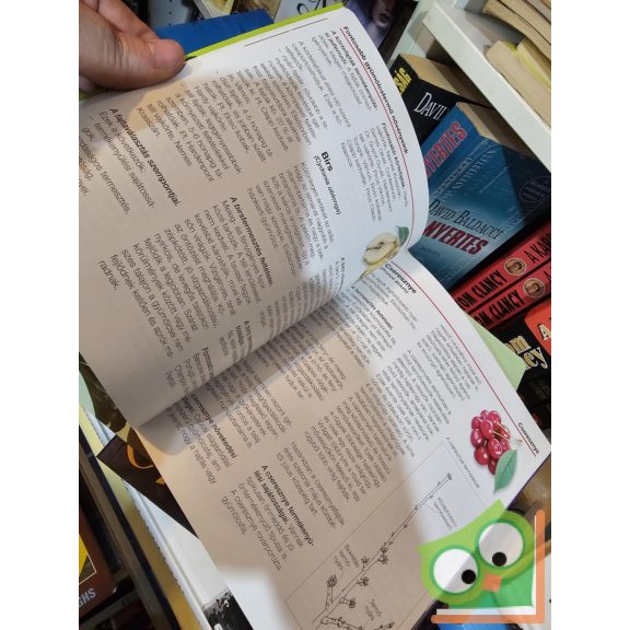 Megyeri Szabolcs: Gyümölcstermesztés a házikertben (Kertünk növényei) (ritka)