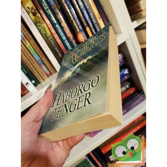 Nora Roberts: Háborgó tenger (Chesapeake Bay 2.)