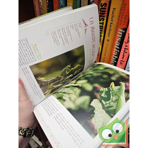 On n'est pas des bêtes!: L'encyclopédie de la séduction chez les animaux + audio cd