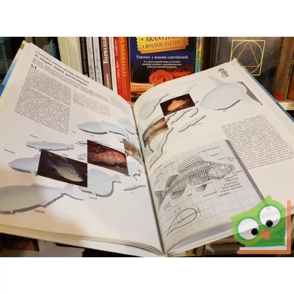 Várady Soma: Halak – Az úszás művészei - A természet történetei
