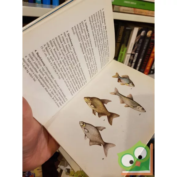 Wiesinger Márton: Halak (Búvár zsebkönyvek)