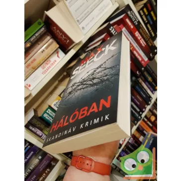 Max Seeck: Hálóban (Jessica Niemi 2.) (skandináv krimi)