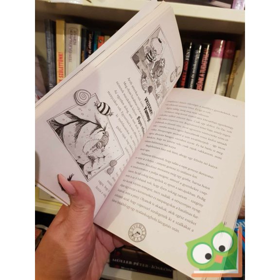 Danny Wallace: Hamish és a RémDermesztők  (Hamish 1.) (ritka)