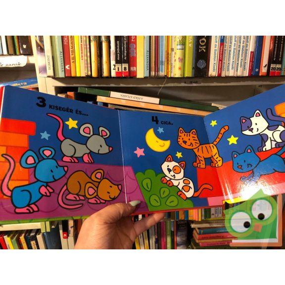 Carmen Busquets: Számok (Ki vagyok?)