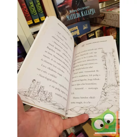 Daisy Meadows: Hanna mindent elfelejt (Varázslatos Állatbirodalom 13.)