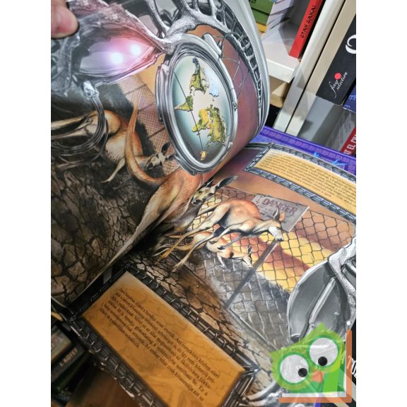 Miro Radnik: A Harmadik Bolygó-küldetés