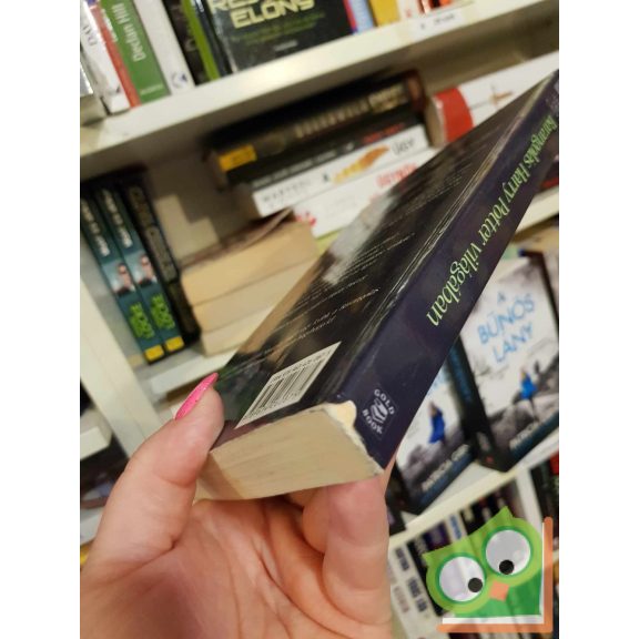 Adam-Troy Castro: Barangolás Harry Potter világában