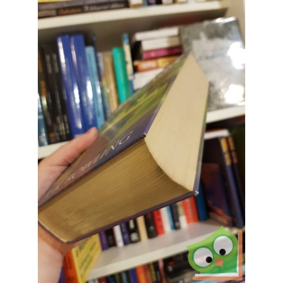 J. K. Rowling: Harry Potter és a Félvér Herceg (Harry Potter 6.)