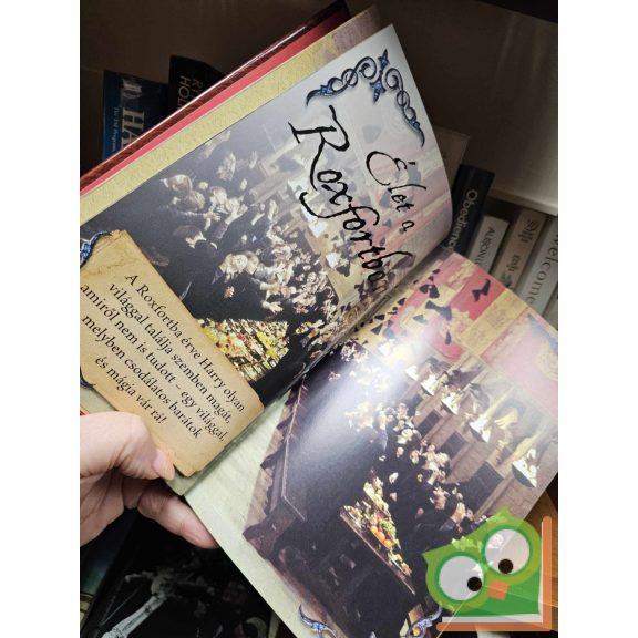 Harry Potter - Képes kalauz