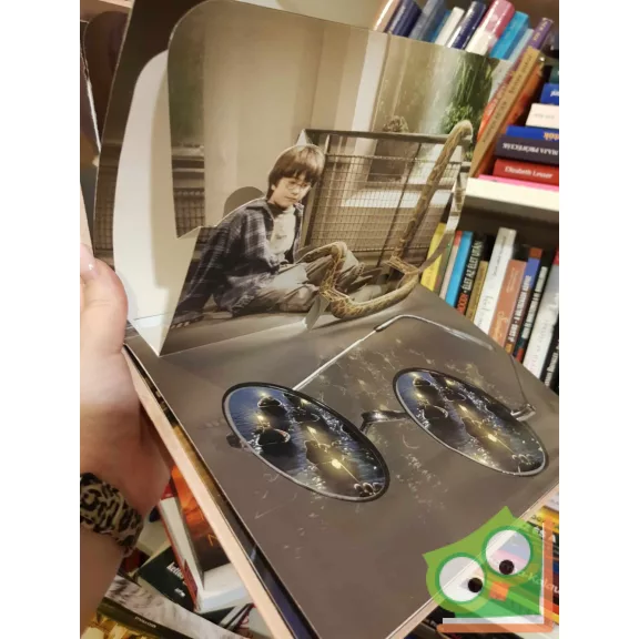 Harry Potter - Pop-up 3D-s könyv