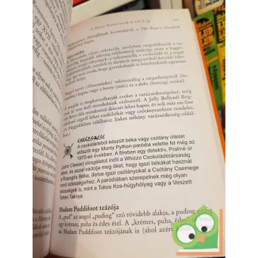   Tere Stouffer: A Harry Potter-titok A-tól Z-ig (Utazás J. K. Rowling varázsvilágába) (Ritka)