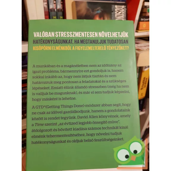 David Allen: Hatékonyságnövelés stresszmentesen - GTD (HVG könyvek) (ritka)