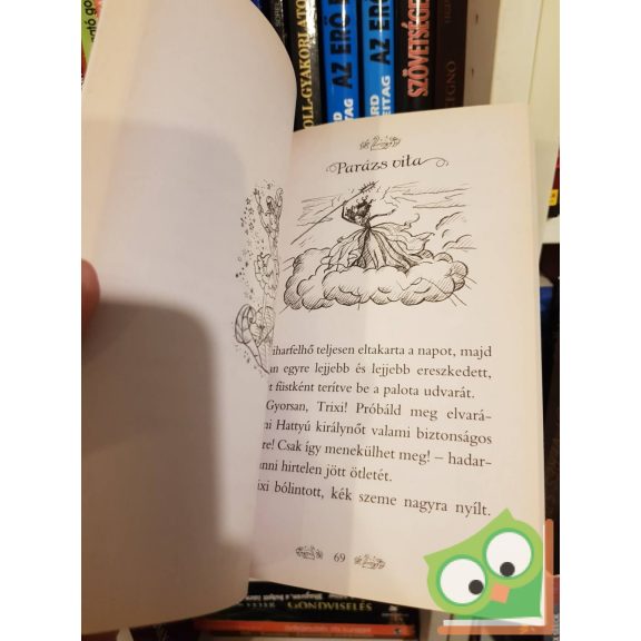 Rosie Banks: Hattyúpalota (Titkos királyság 14.)