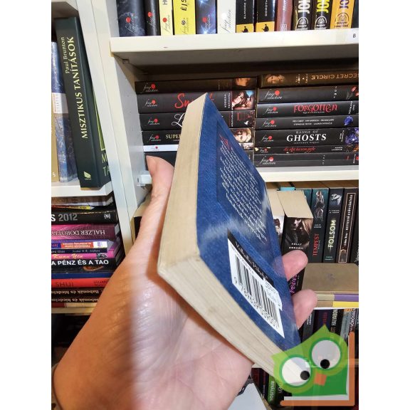 Ryan Hawkwood: Árnyjáték  (Beriquel-ciklus 2.) (M.A.G.U.S.)