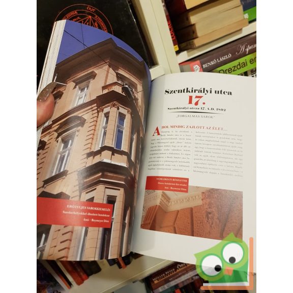 Papp Luca (szerk.): Háztól házig utcától utcáig