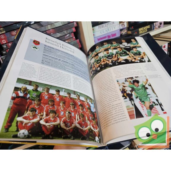 Dénes Tamás - Hegyi Iván - Lakat T. Károly: Helyünk a kupanap alatt (újszerű)