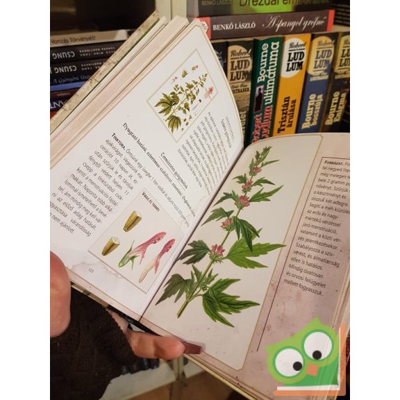 Carmen San José: Herbárium - Gyógyító növények (Ritka)