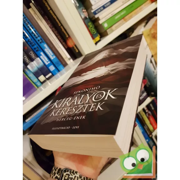 Mészáros János: Herceg-ének (Királyok és keresztek 1.)