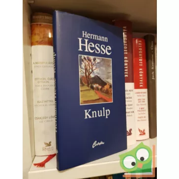Hermann Hesse: Knulp
