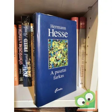Hermann Hesse: a pusztai farkas