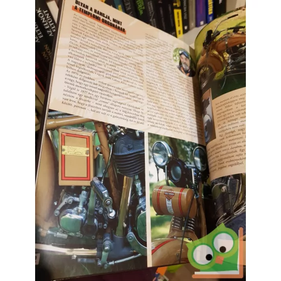 Pál Csaba - C. Kiss Ilona: Hírnév és dicsőség