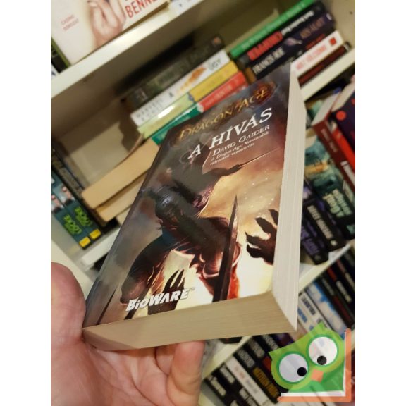 David Gaider: A hívás (Dragon Age 2.) (ritka)