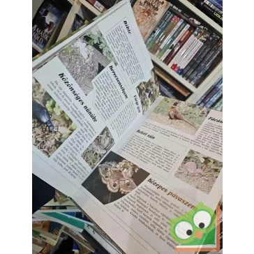 Schmidt Egon - Bécsy László: Hol laknak az állatok?