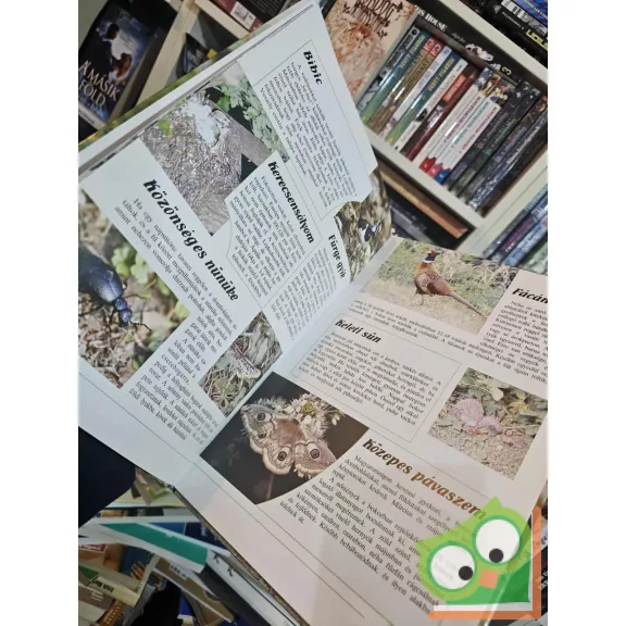 Schmidt Egon - Bécsy László: Hol laknak az állatok?