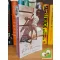 Khaled Hosseini: The Kite Runner