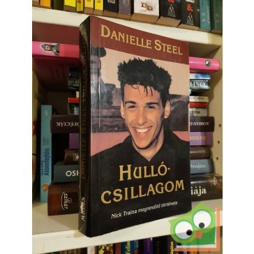 Danielle Steel: Hullócsillagom