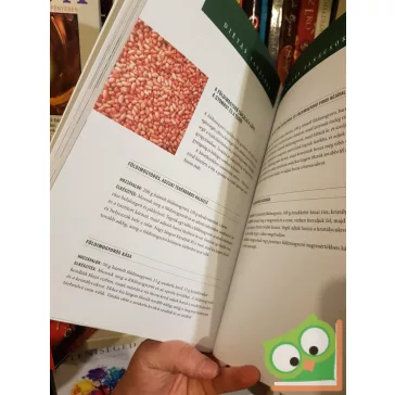 Wang Xuejun: Idényfüggő egészséggondozás