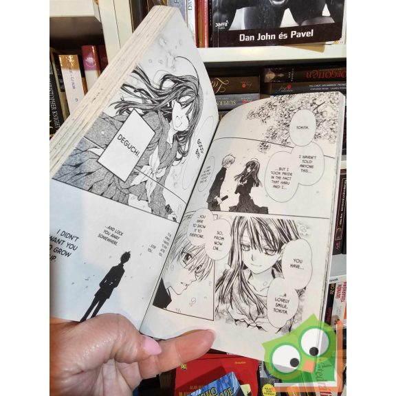 Arina Tanemura: Idol Dreams 2. (Idol Dreams 2.) (angol nyelvű)