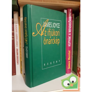 James Joyce: Ifjúkori önarckép