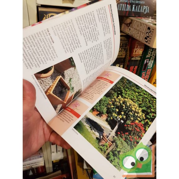 Andsen Haarpaintner: Illatos kert (kertünk növényei sorozat)