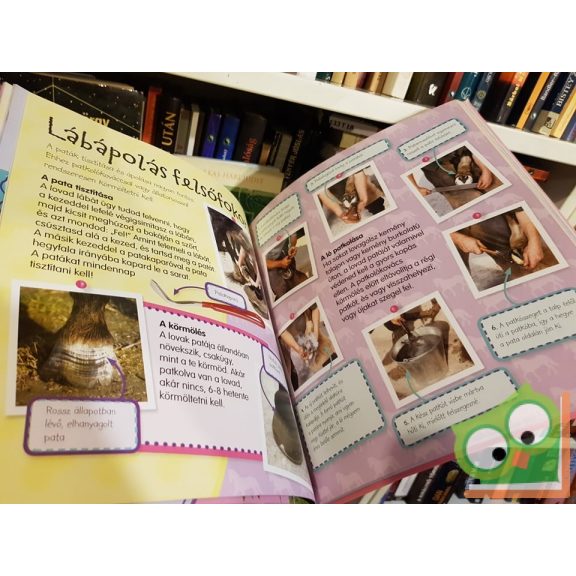 Imádok lovagolni - Letehetetlen lovas kalauz nem csak lányoknak