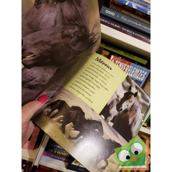 Nicola Jane Swinney: Imádom a lovakat!