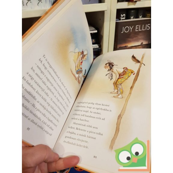 Rosanna Guarnieri (szerk.): Indián népmesék (Népek meséi 1.)