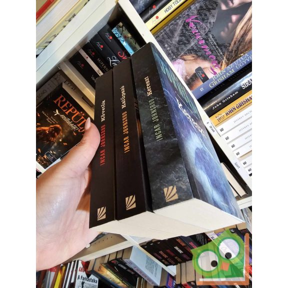 Ingar Johnsrud: Fredrik Beier  trilógia (skandináv thriller)